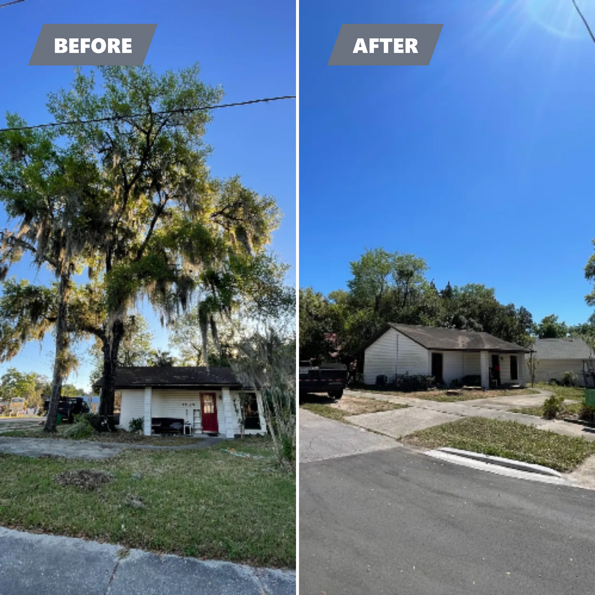 Tree Removal for Mr. Timber in Ocala, FL