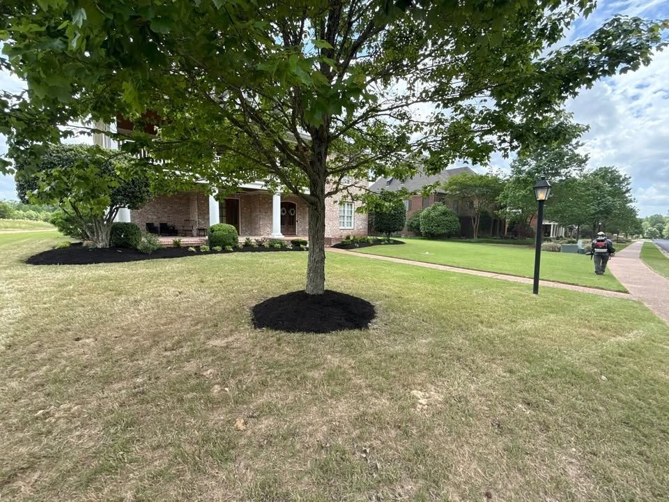 Landscaping for Sanchez Z. Landscaping in Memphis, TN