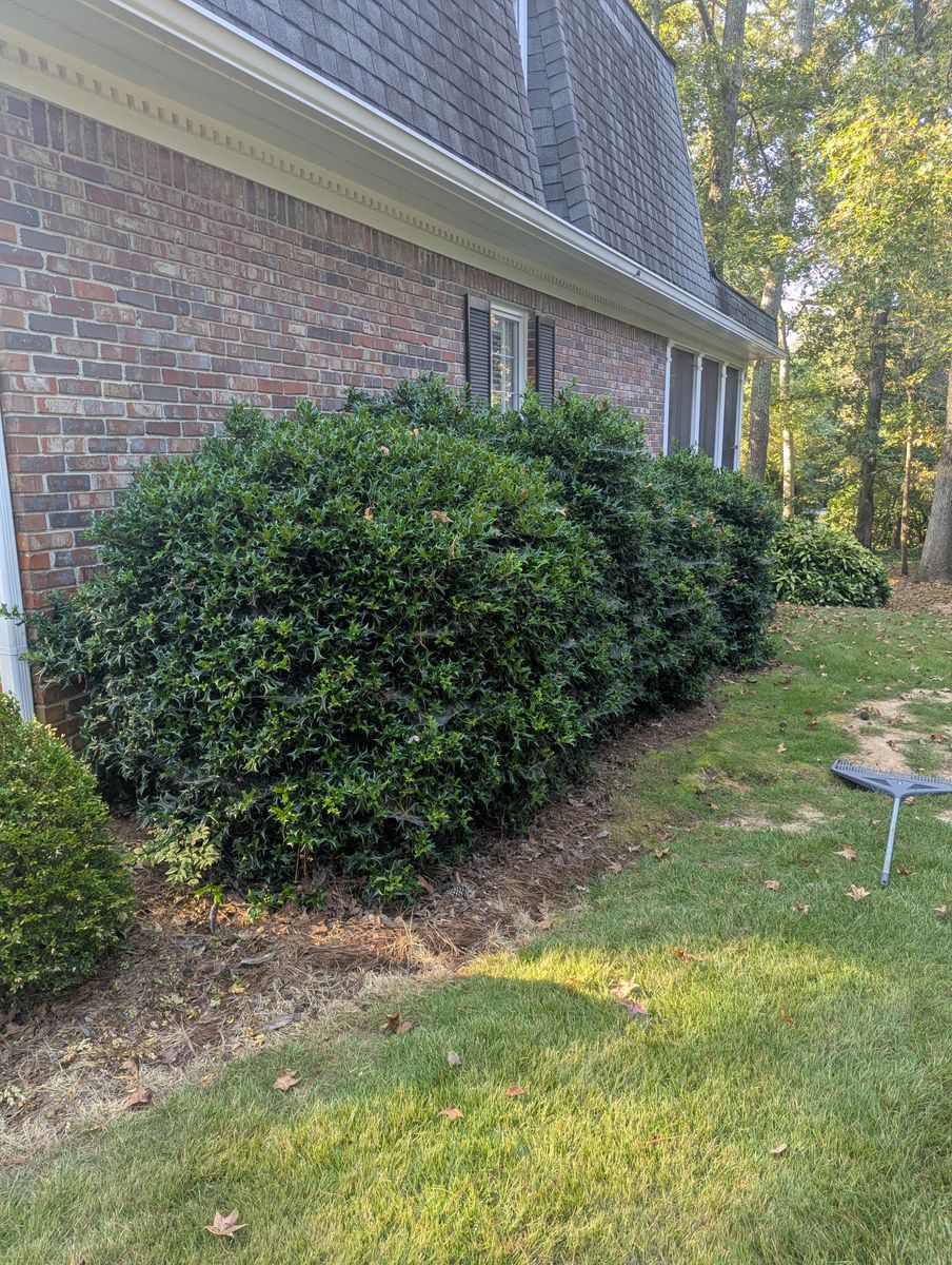 Shrub Trimming for Fantastic Lawn Care LLC in Fayetteville, GA