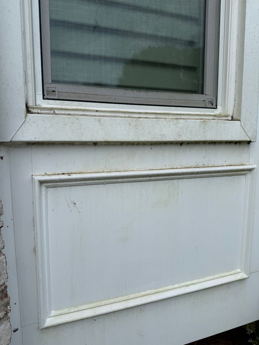 Home Softwash for Paratrooper Pressure Washing in Bradenton, FL