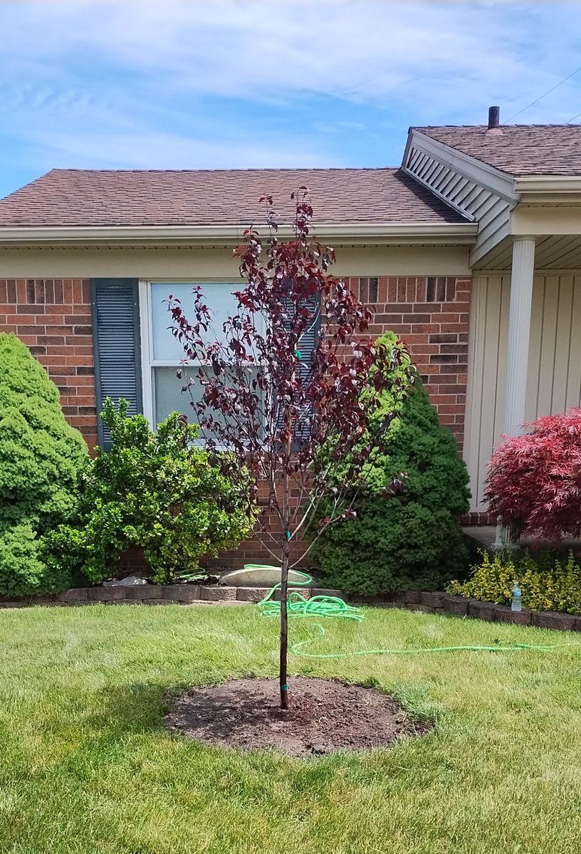 Landscape Installation for Humphries Hardscape - Pavers and Landscaping in Wyandotte, MI