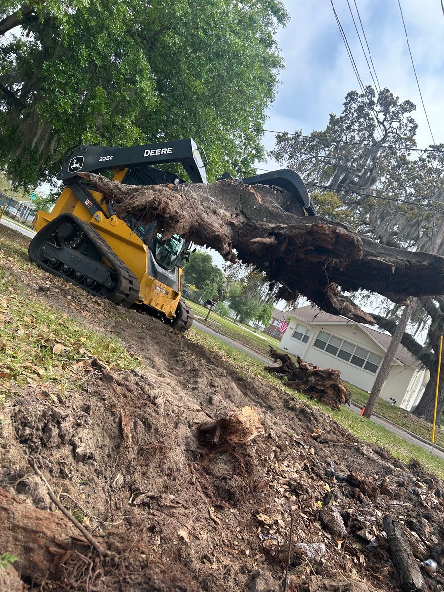 Tree Removal for All Around Guys Tree Service in Ocala, FL