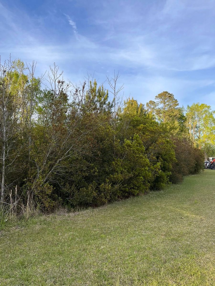 Shrub Trimming for Ty's and Sons in Burgaw, NC