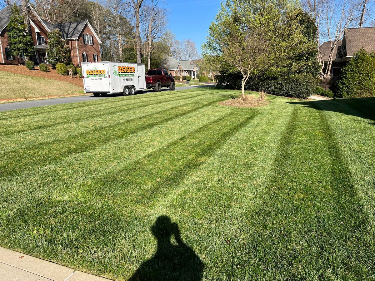 Other Lawn Services for Reiser Lawn Service in Denver, North Carolina