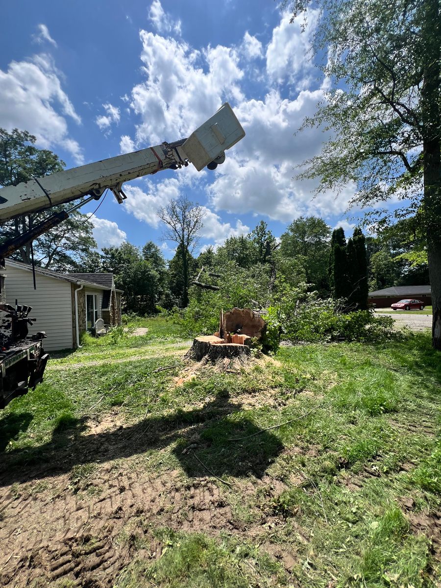 Tree Trimming for Kadin’s Tree Service in North Vernon, IN
