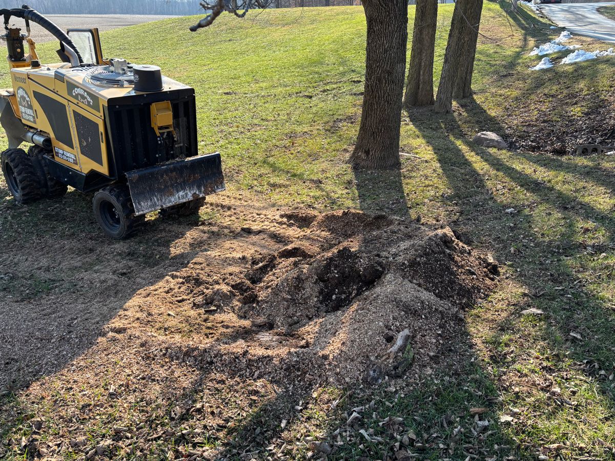 Stump Removal for Conrad's Stump Removal in Columbus, IN