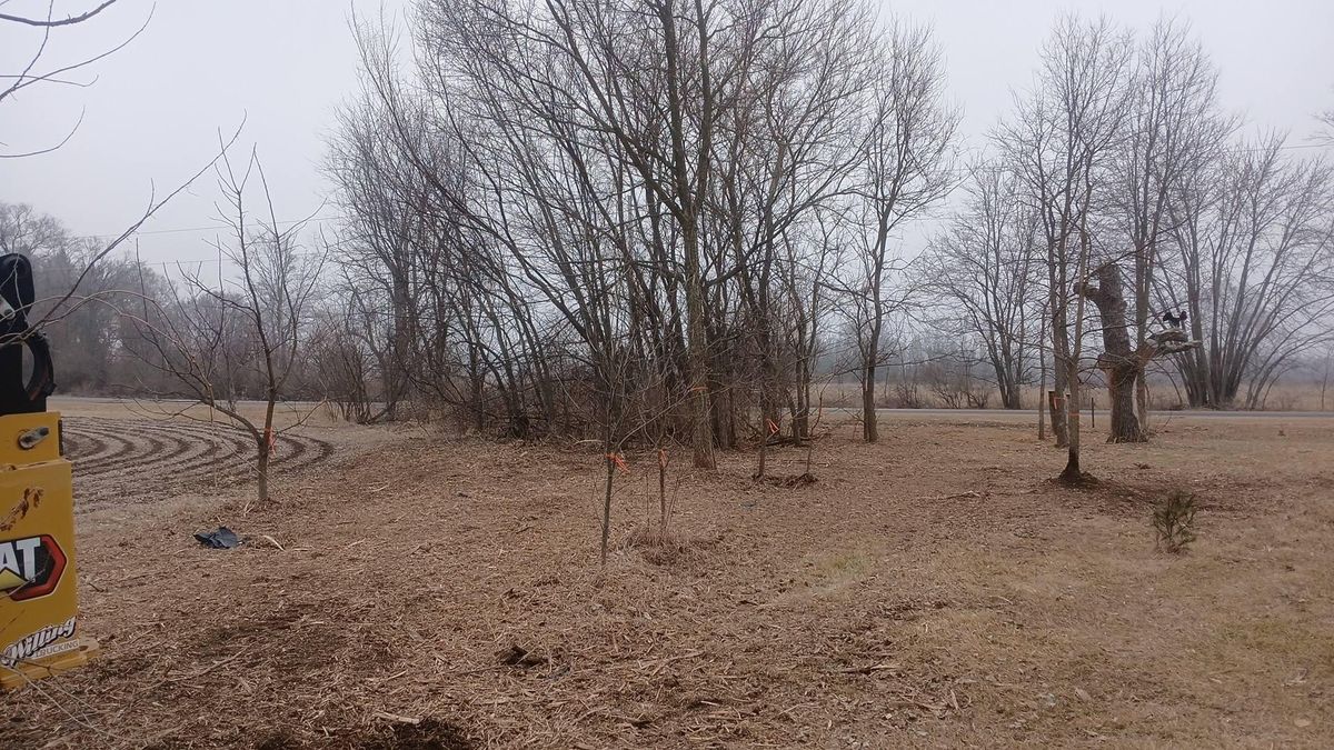 Land Clearing for Willing Trucking & Excavating in Evansville, WI