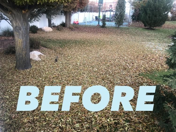 Fall Clean Up for Duncan Yard Services in Bountiful, UT