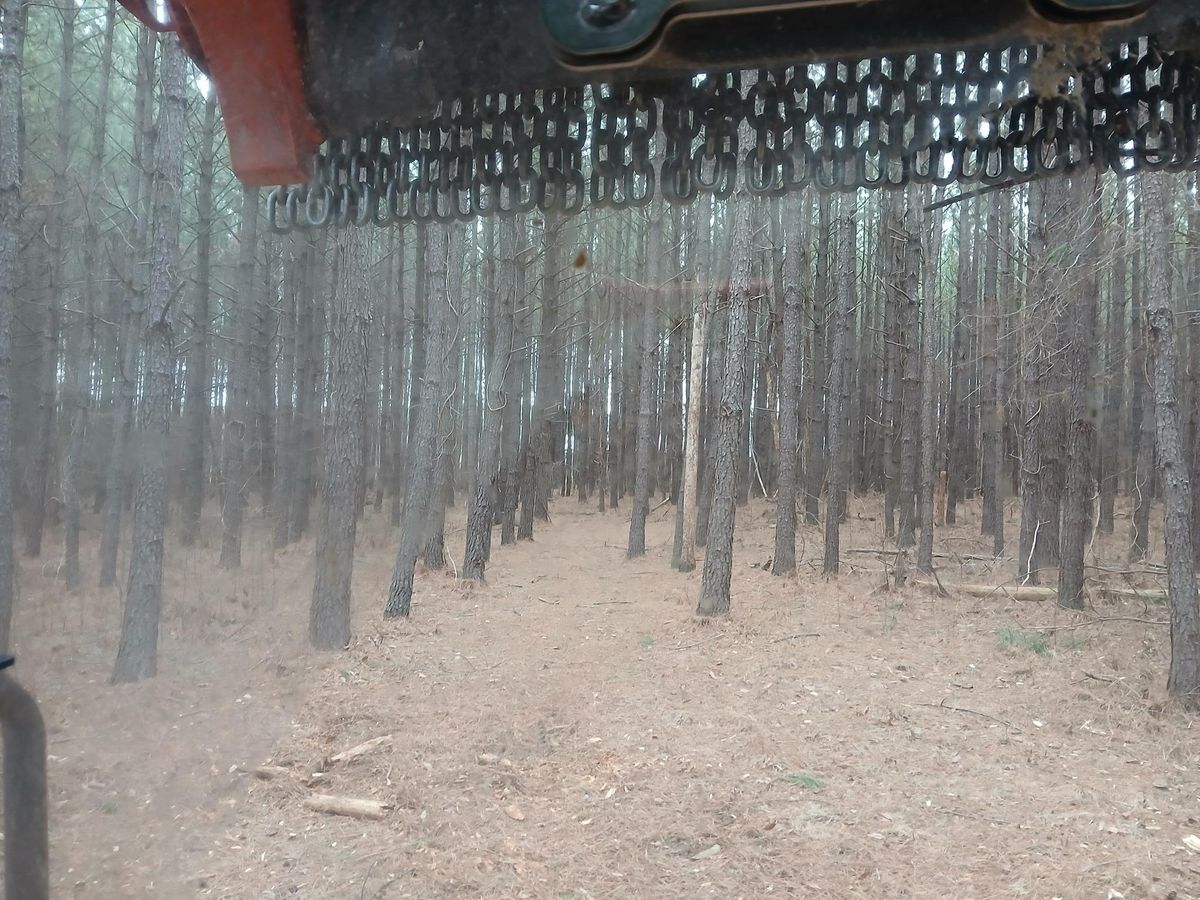 Forestry Mulching for Whiskey Ridge Mulching & Land Services in South Boston, VA
