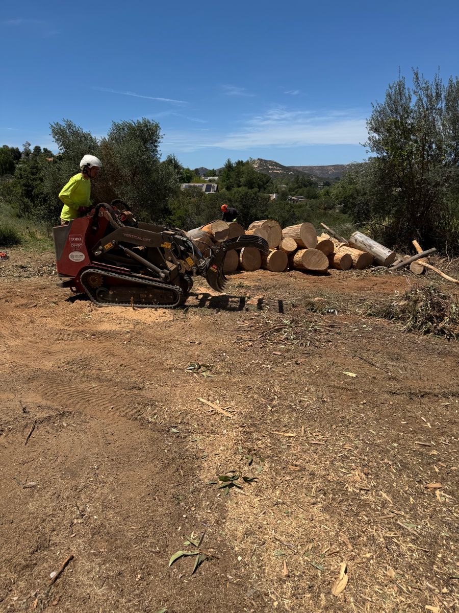 Tree Services for The Tree Fairy in Julian, CA