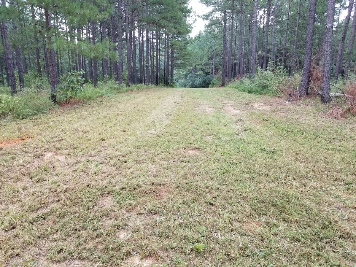 Mowing for Top Notch Tractor Work LLC in Milledgeville, GA