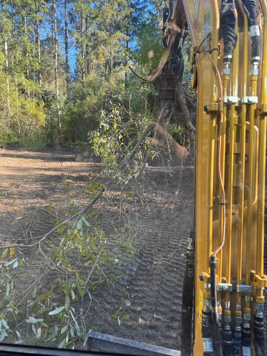 Tree Work for Harpers Landscaping in Fredonia, NY