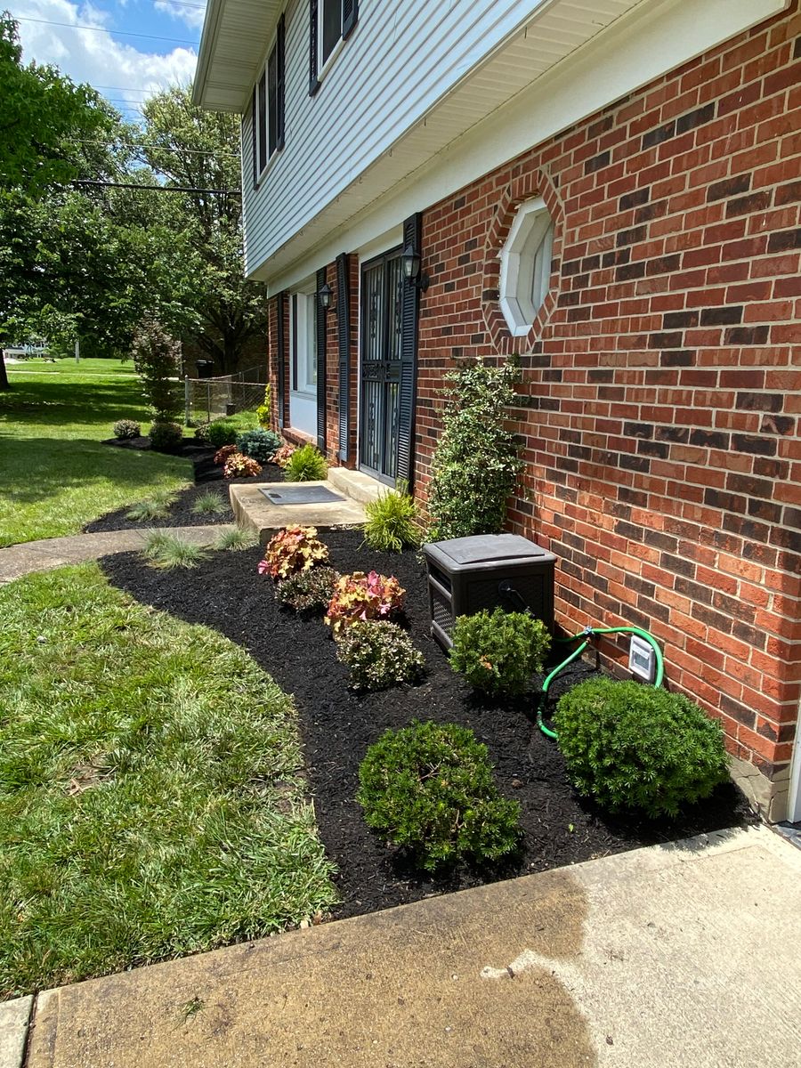 Shrub Trimming for Castle JR Landscaping & Painting LLC in Cincinnati, OH