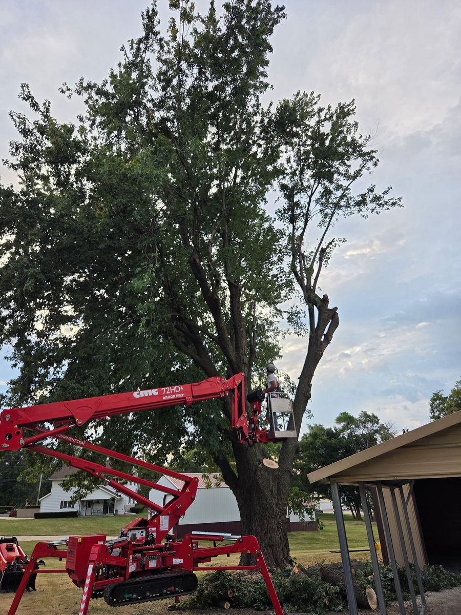 Tree Removal for Lawn Ranger Yard And Tree Service LLC in Ottumwa, IA