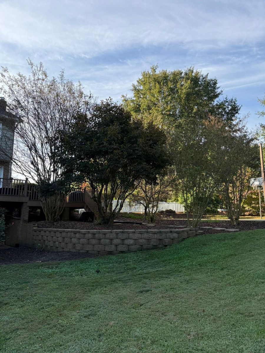 Fall Clean Up for Brooks Tree Service, LLC in Casar, NC