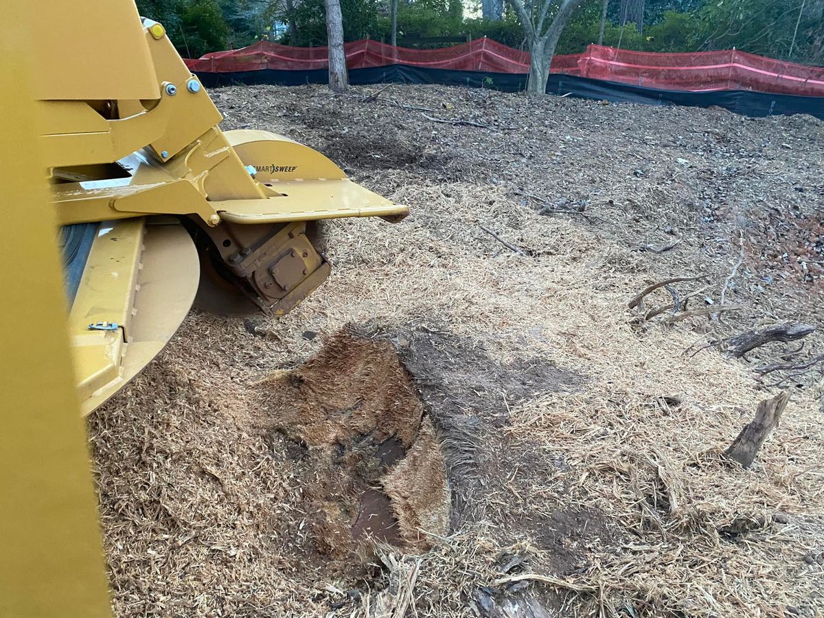 Stump Removal for J&M Stump Grinders LLC in Douglasville, GA