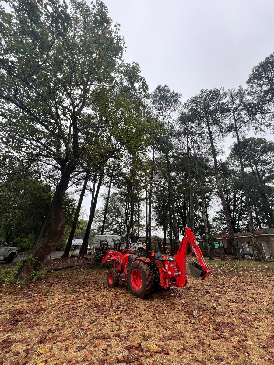 Fall Clean Up for Brooks Tree Service, LLC in Casar, NC