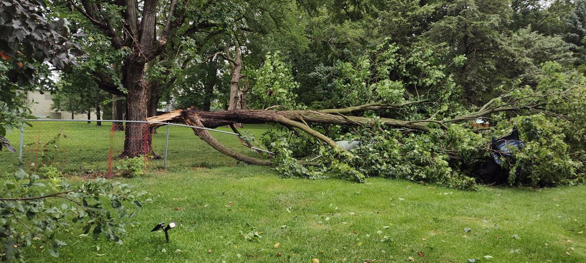 Storm Damage And Insurance Work for Olson Tree Service, Inc in Rockford, IL