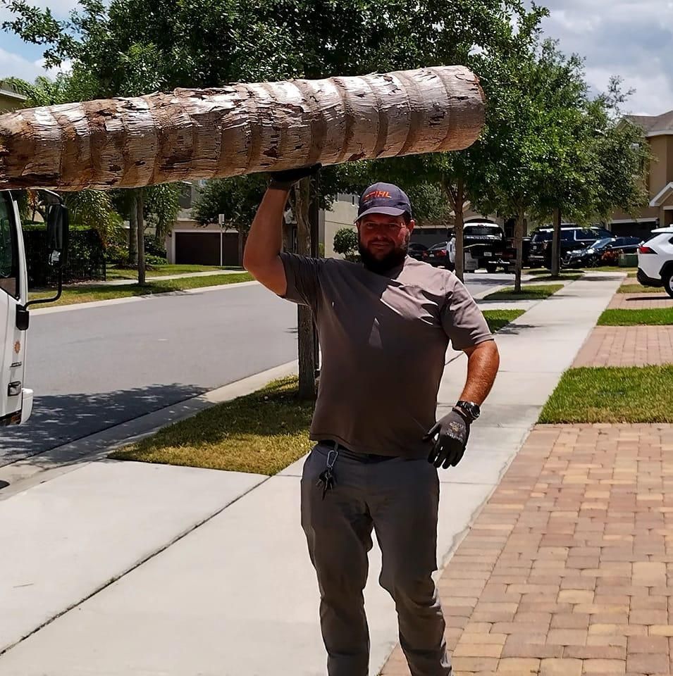 Tree Removal for Tru Tree Service  in Ocala , FL 