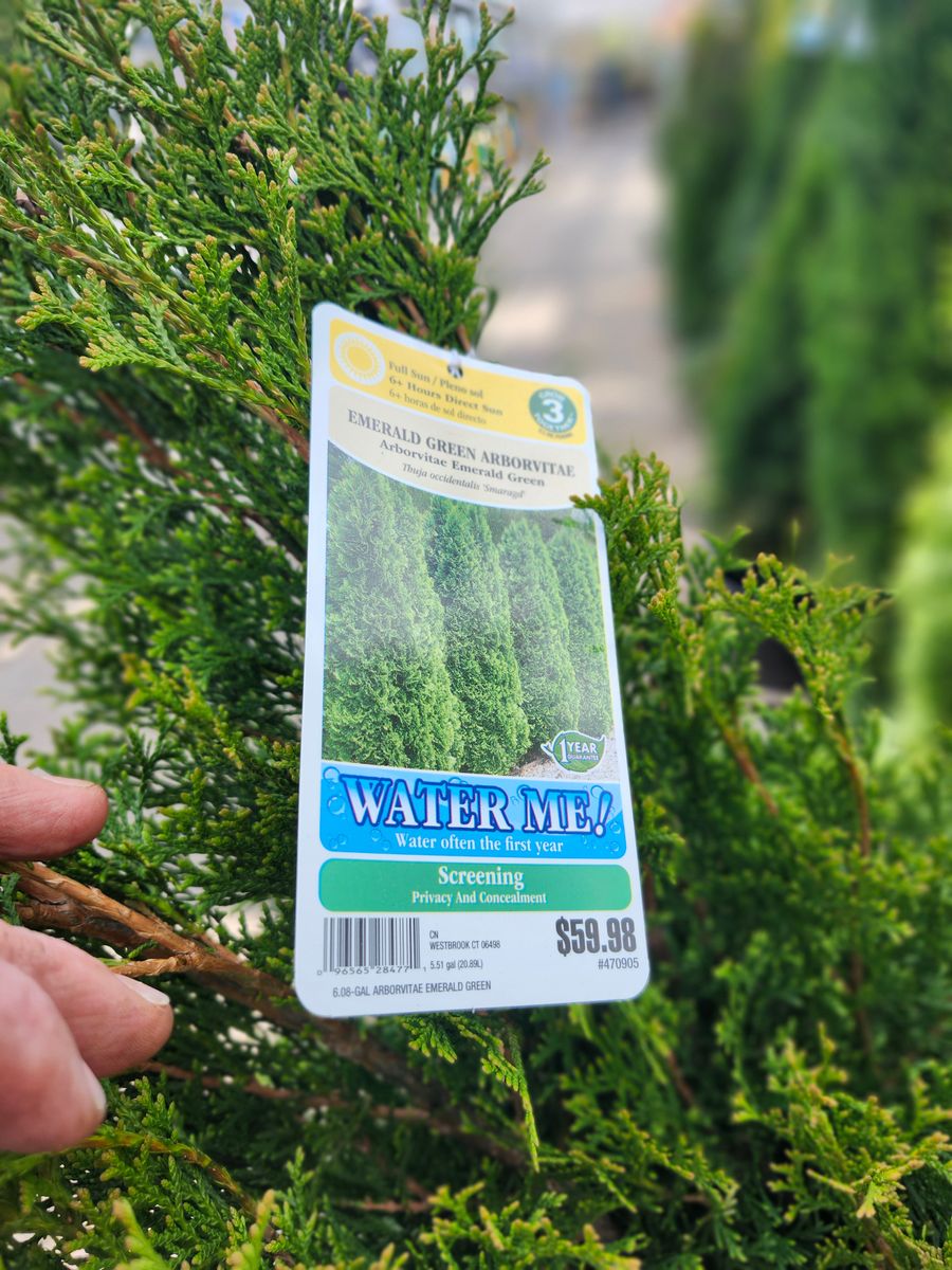 Landscape Installation for Landscape Innovations LLC in Torrington, CT