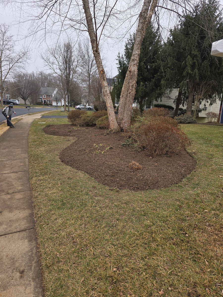 Landscaping for W D Giampa Lawns and Landscape Inc. in Manassas, VA