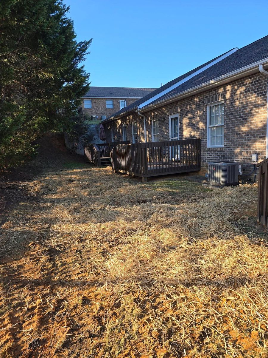Bush hogging for M&L Lumber and Excavating in Jonesborough, TN