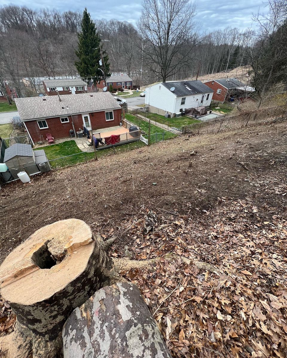 Tree Removal for Mark's Multiple Landscaping in Pittsburgh, PA