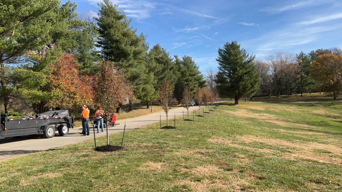 Landscape Design and Installation for Thomas' Lawn Care in Maryville, MO