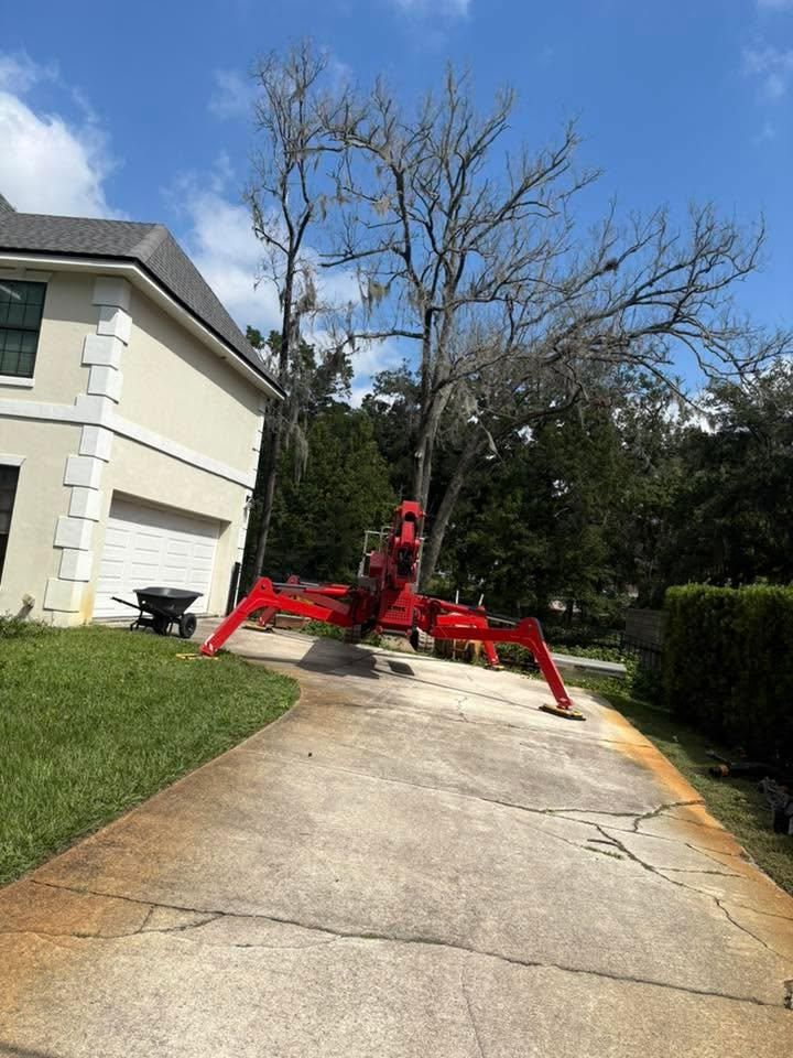 Fall Clean Up for Top Notch Tree Experts in Orange Park, FL