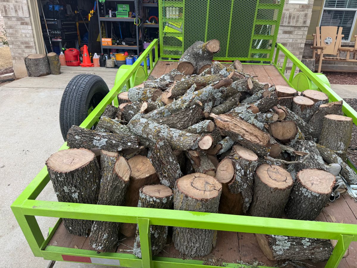 Emergency Debris Removal for Oakley’s Stump ‘N Grind in Leander, TX