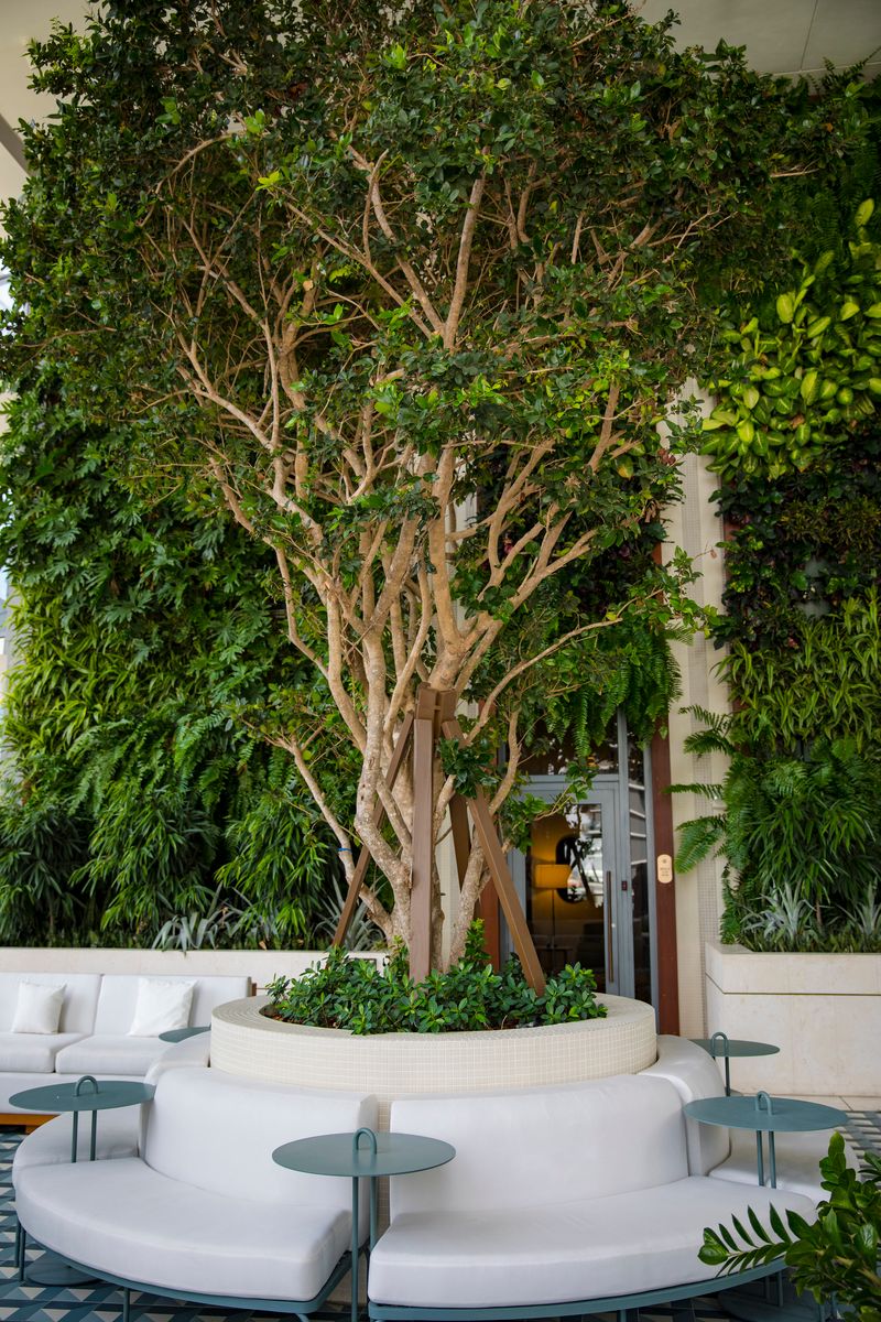 Landscaping for Arazoza Brothers Corporation in Miami, FL