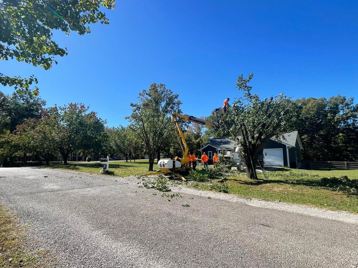 Tree Trimming for Ross Family Tree Service LLC  in Hohenwald, TN