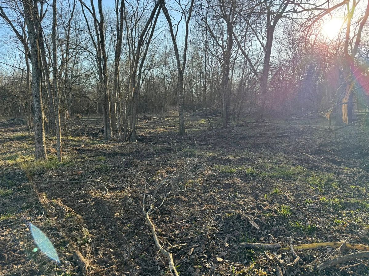 Debris Removal for Superior Land Services in Wills Point, TX