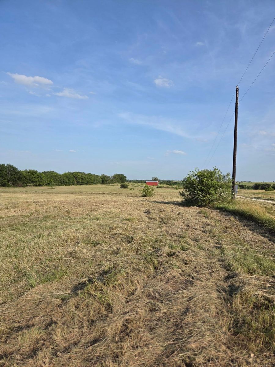 Grazing Services for Philipp Property Solutions, LLC in Valley Mills, TX