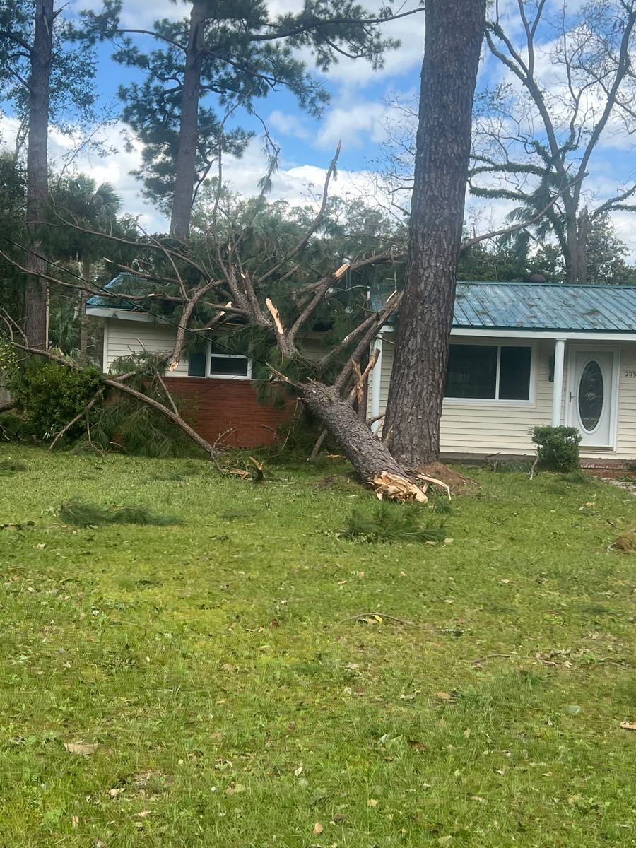Immediate Response Tree work for storm damage for TREE BOYS in Ruskin, FL