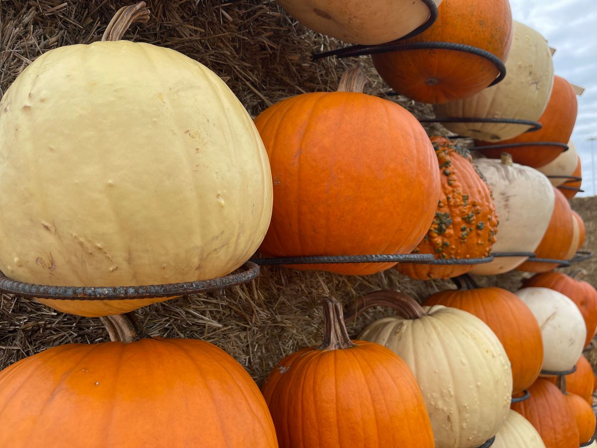 Custom Design & Fabrication for Fusion Welding in Pierz, MN