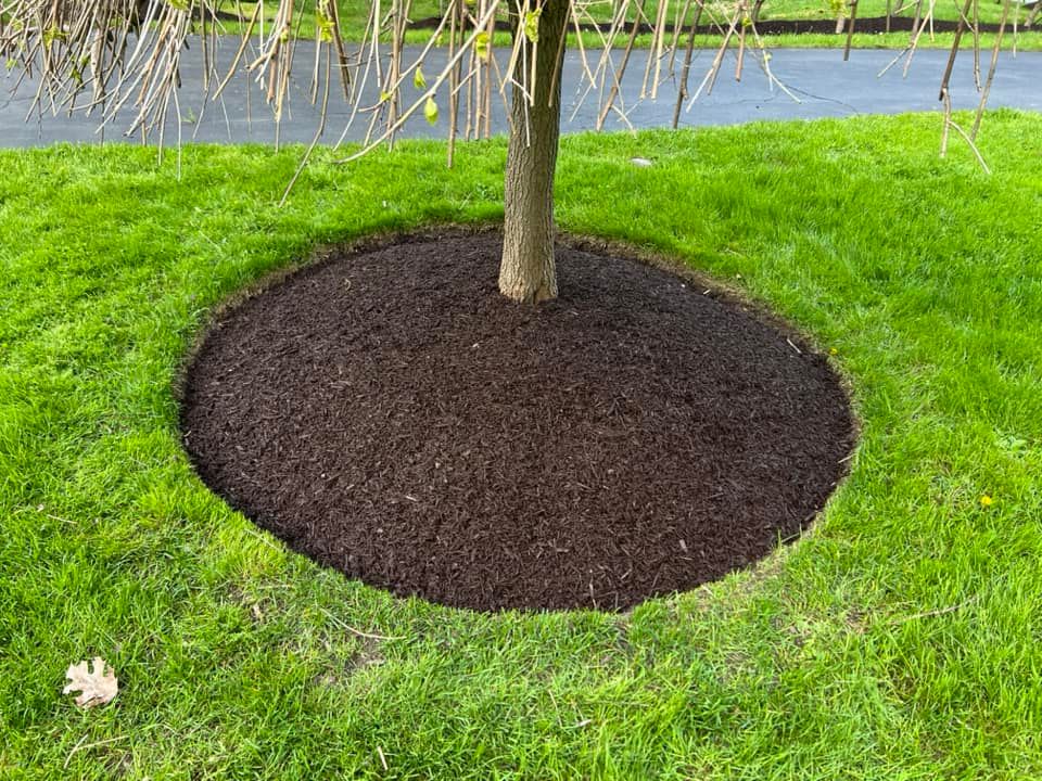 Mulch Installation for Denicola’s Lawn Care in Oxbow,  NY