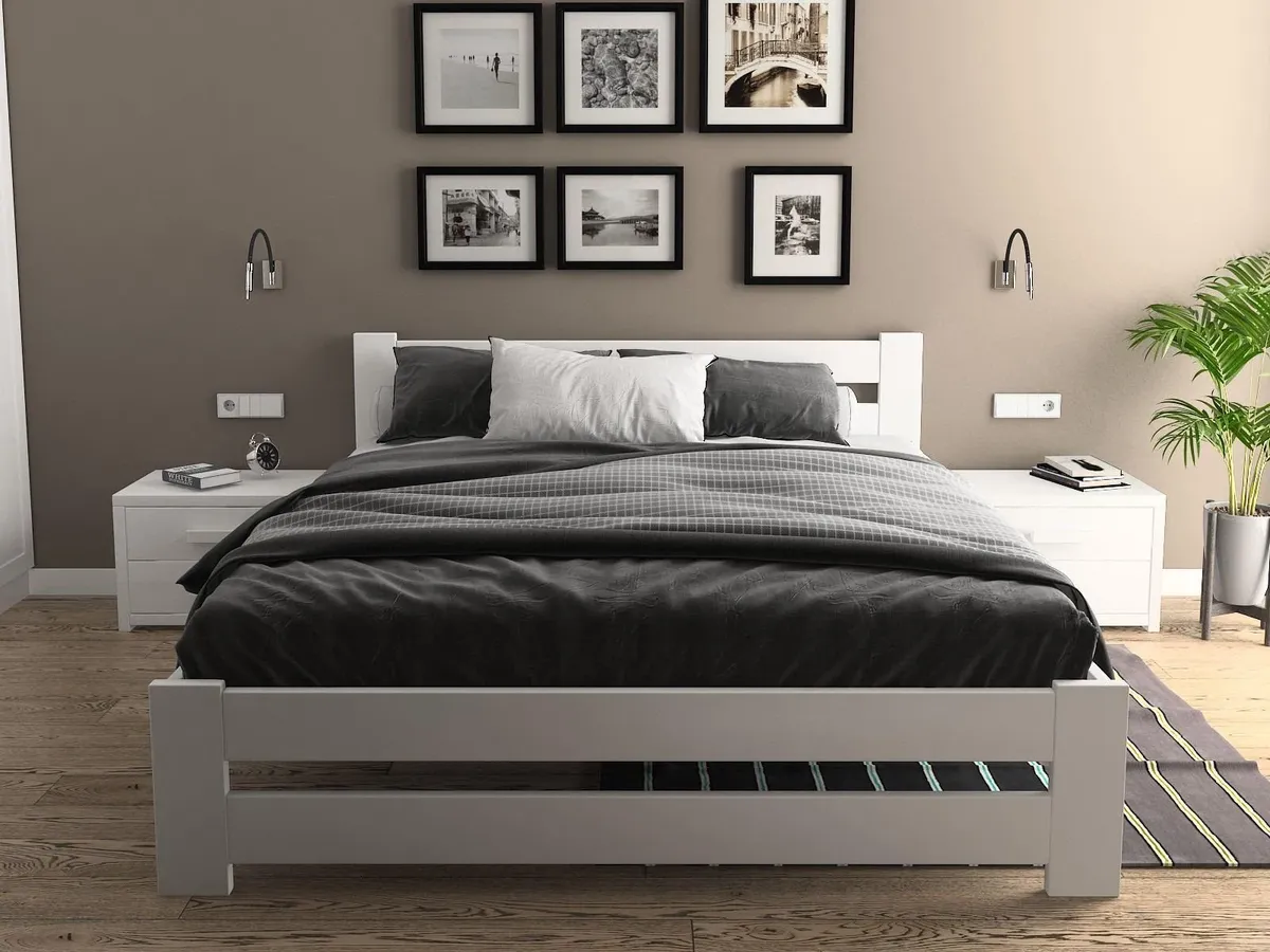 Bed Bugs for Predator Pest Control in El Paso, TX