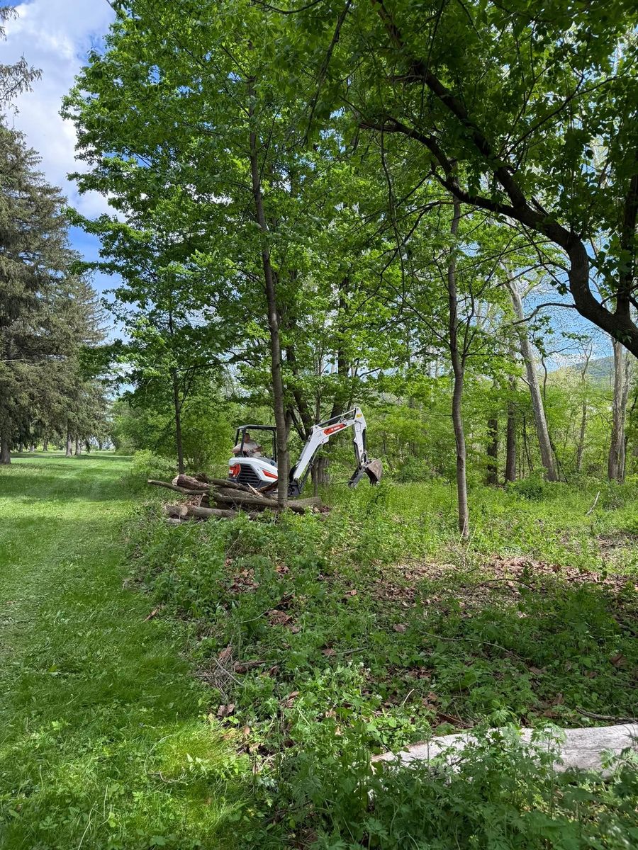 Stump Grinding for Sterlings Tree Removal in Cobleskill, New York