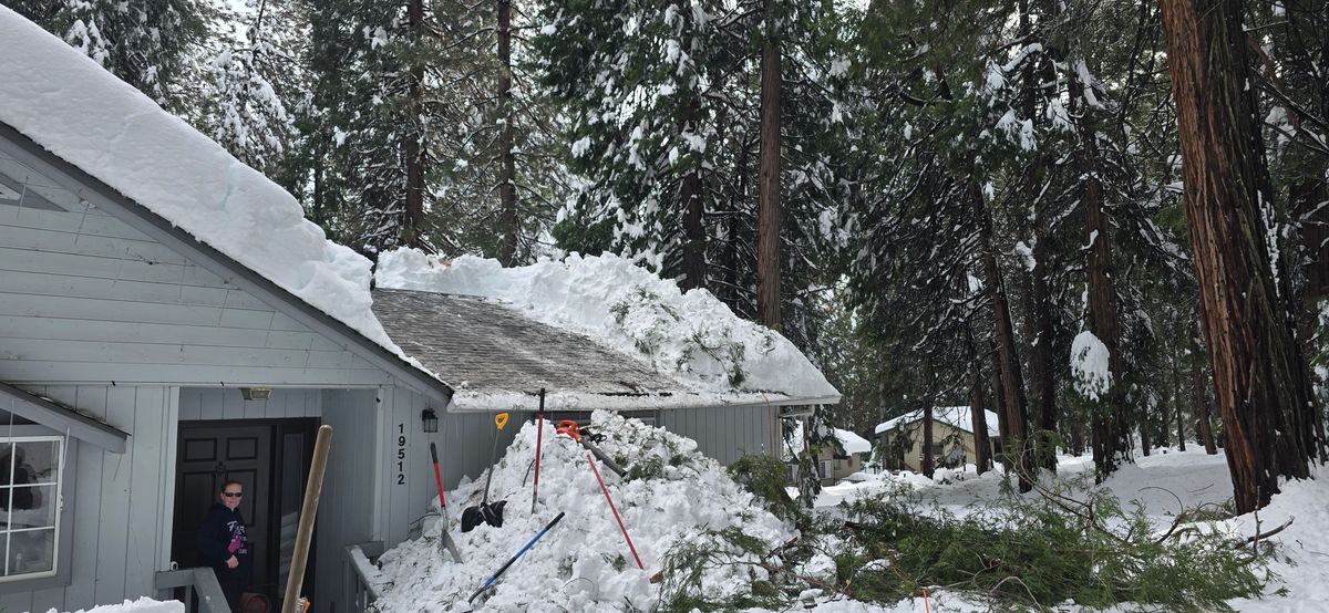 Storm Damage for George Staddan's Professional Tree Care in Placerville, CA