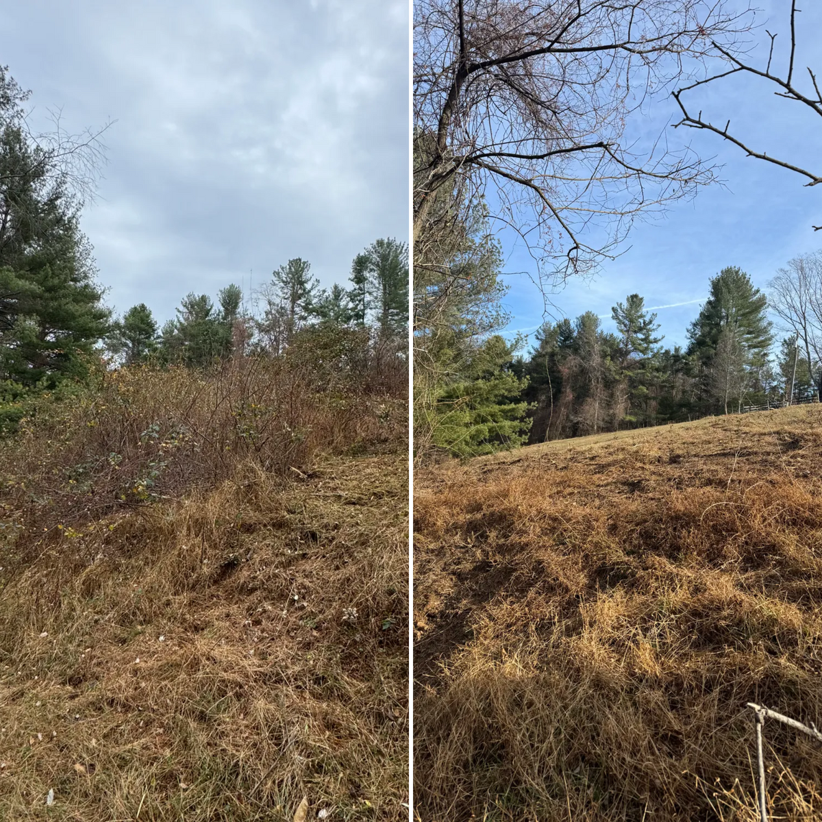 Steep Slope Mowing for Mountain Goat Land Management in Galax, VA