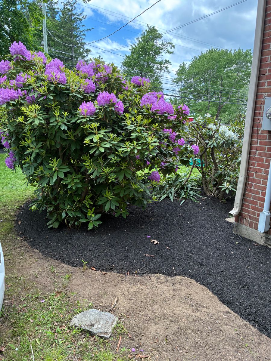 Landscaping Services for JAD Excavating LLC in Goshen, CT