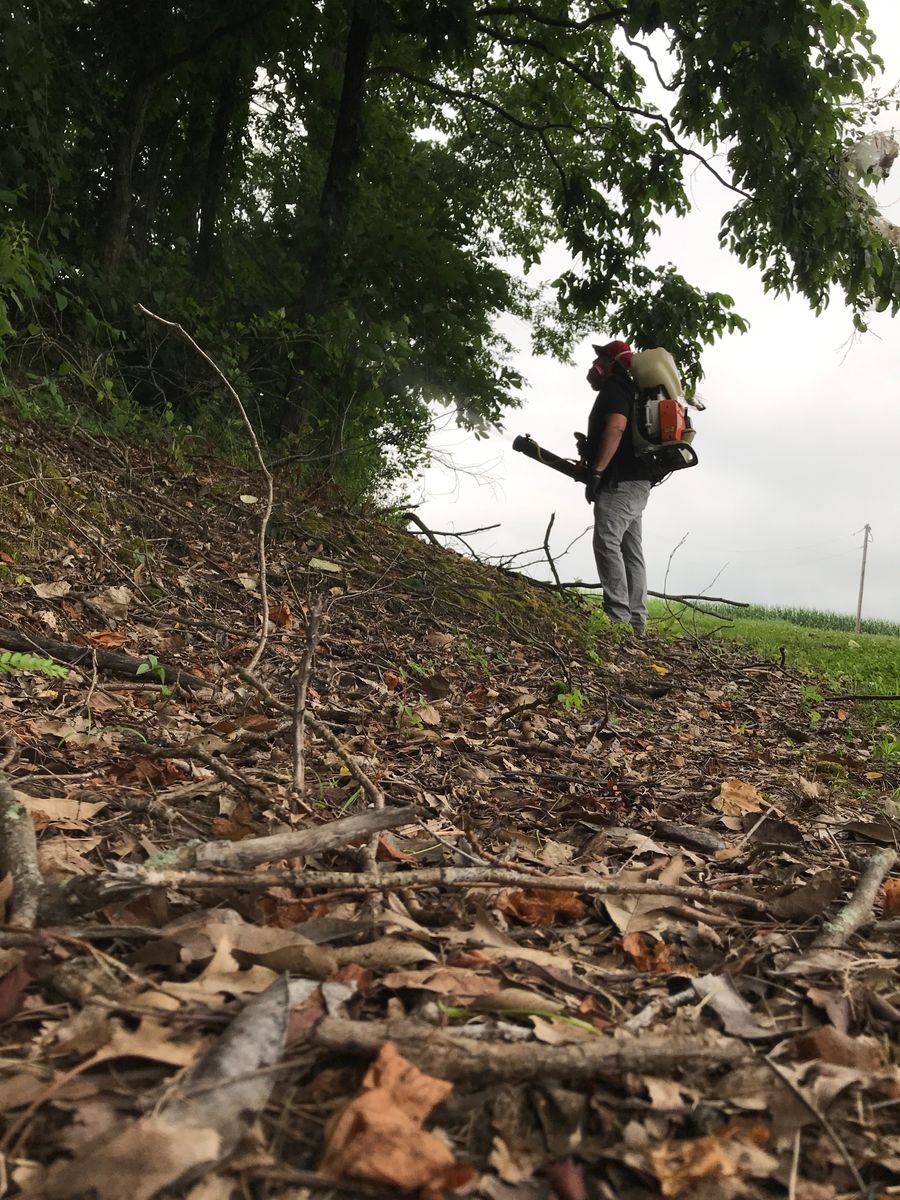 Mosquito Control for All-In Pest Control & Home Solutions in Greene County, IN