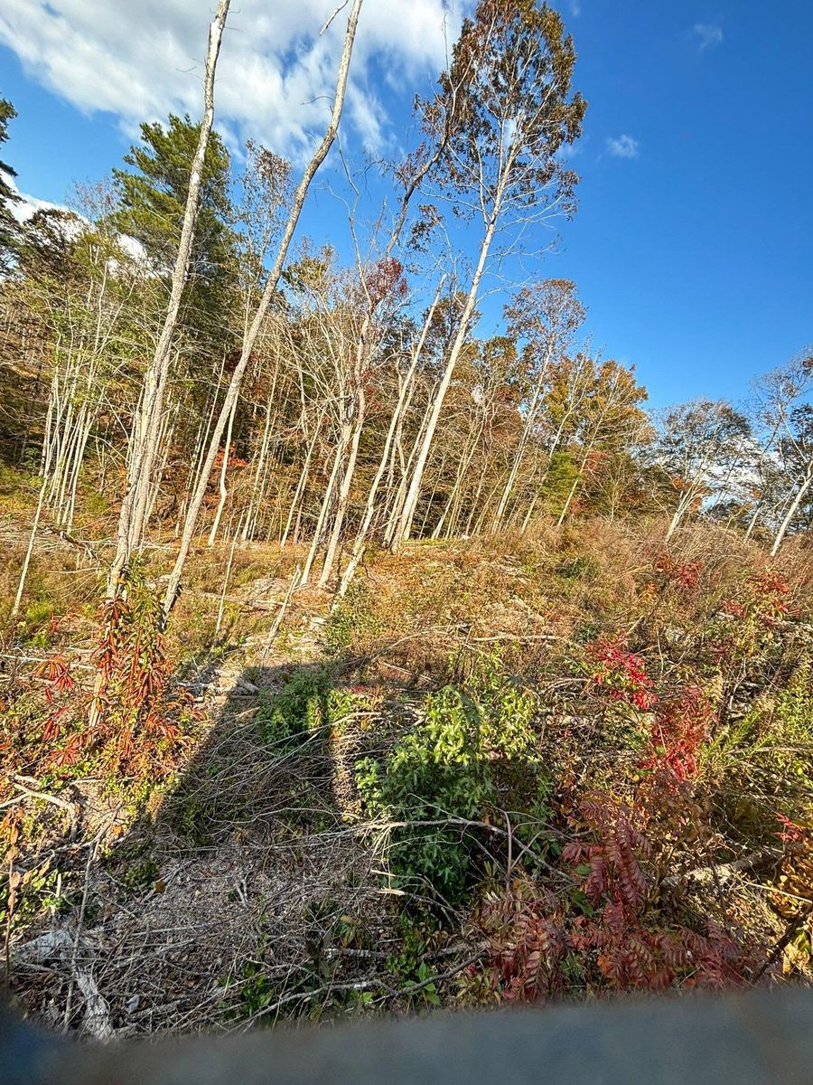 Land Clearing for Kountry Construction in Brookhaven, MS