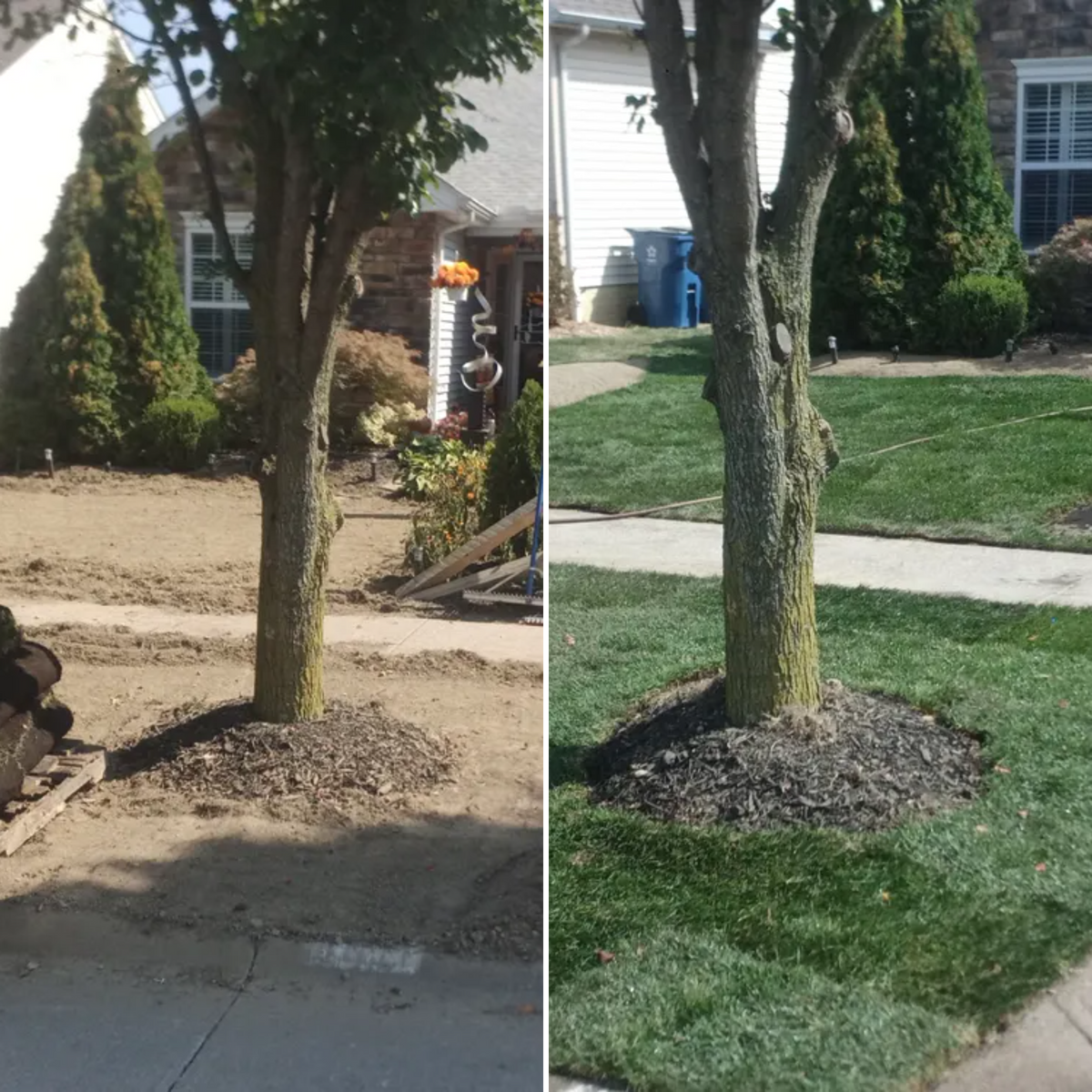 Sod Installation for Hendricks Mowing in Amherst, OH