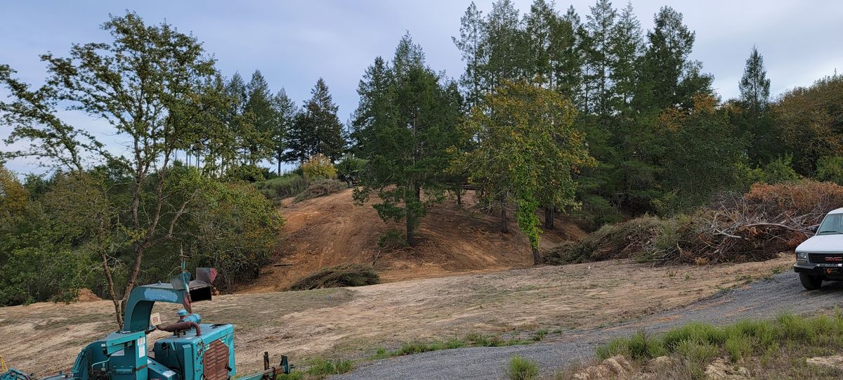 Land Clearing for Ren Levine Construction in Novato, CA