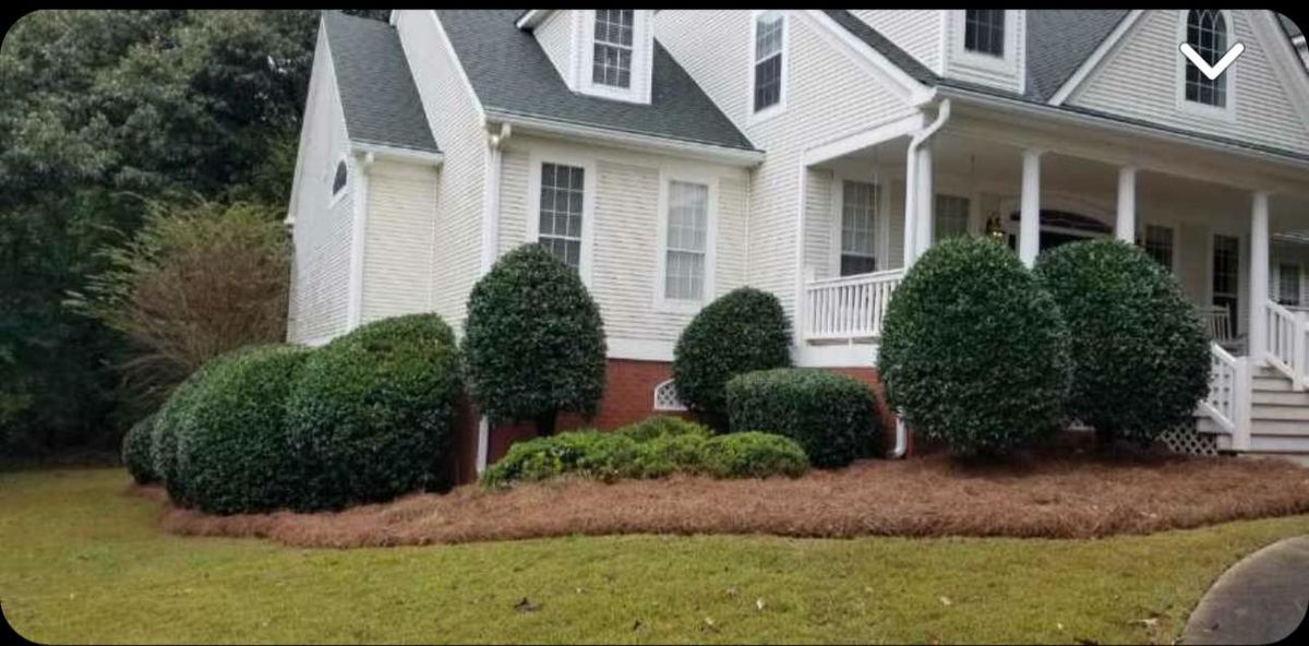 Shrub Trimming for CK Lawn Maintenance in Peachtree City, GA