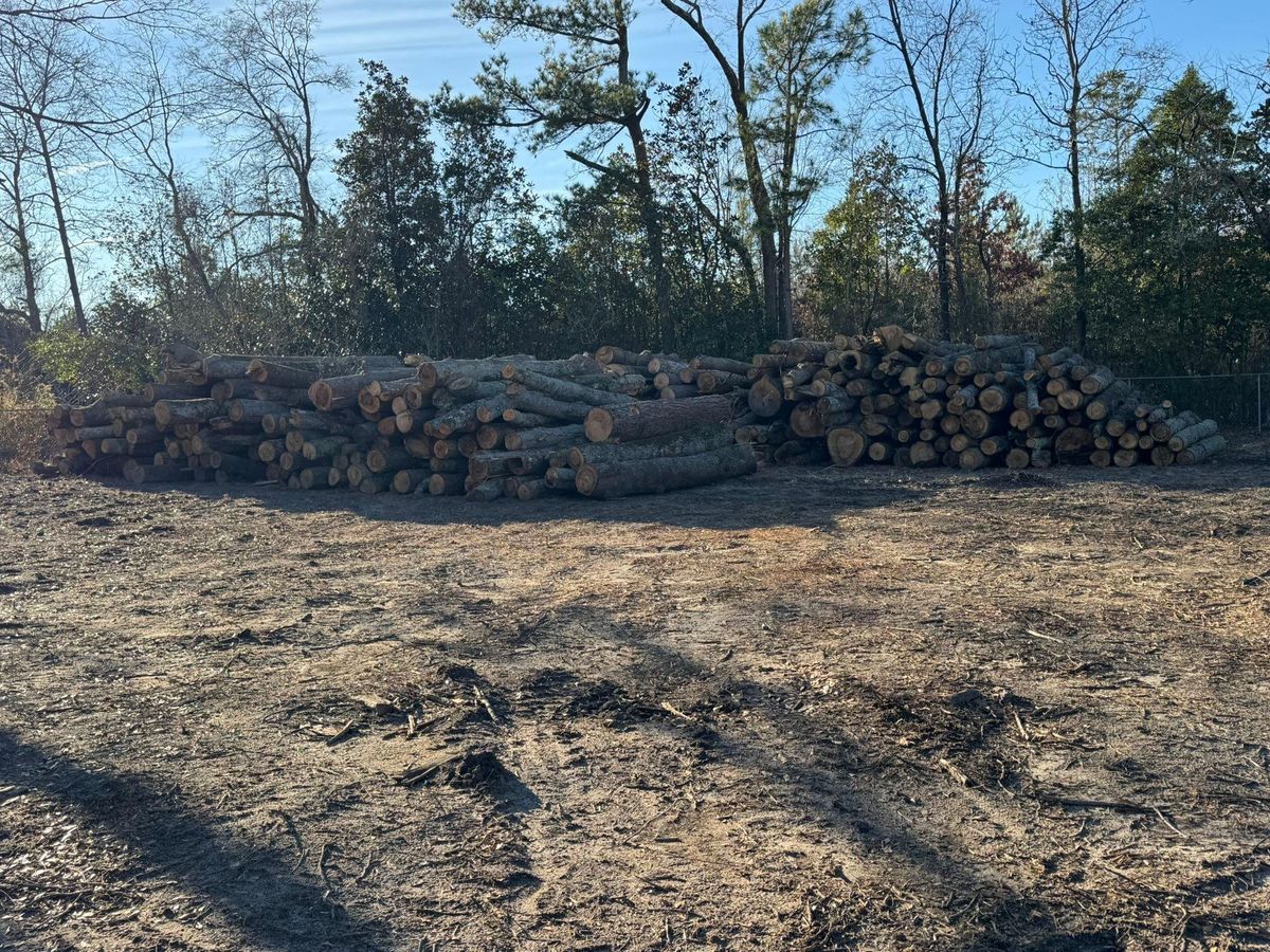 Forestry Mulching for Clean Acres in Hartsville, SC