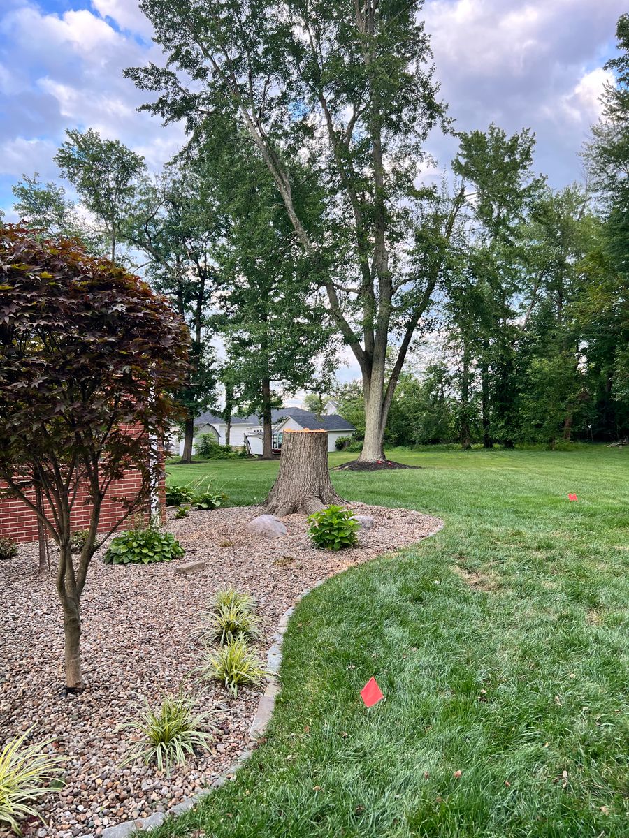 Tree Trimming for Kadin’s Tree Service in North Vernon, IN