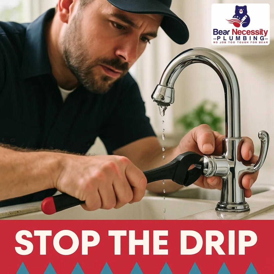 Plumbing Repairs for Bear Necessity Plumbing in Longs, SC